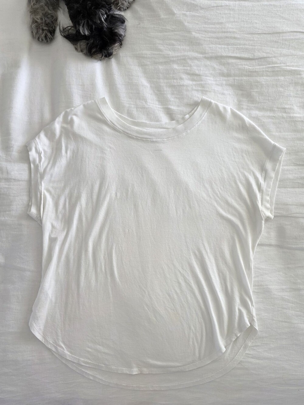 Lou & Grey Supima Cotton Cap Sleeve Tee White Relaxed Fit S